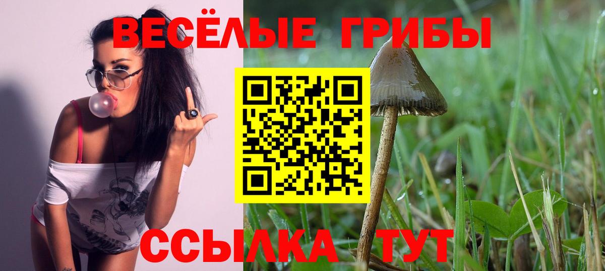 Южноуральск  Псилоцибиновые грибы Psilocybine cubensis  Вход с VPN 
